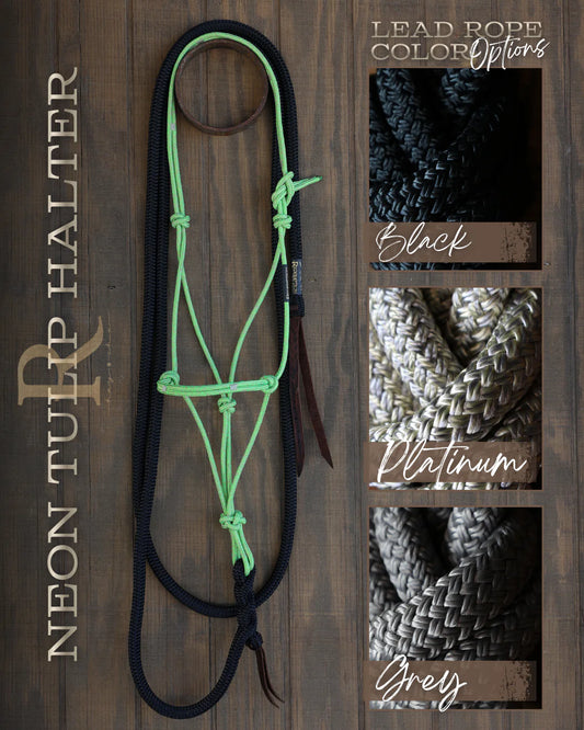 CLEARANCE - Neon Tulip Timeless Halter & Black Lead Rope Set
