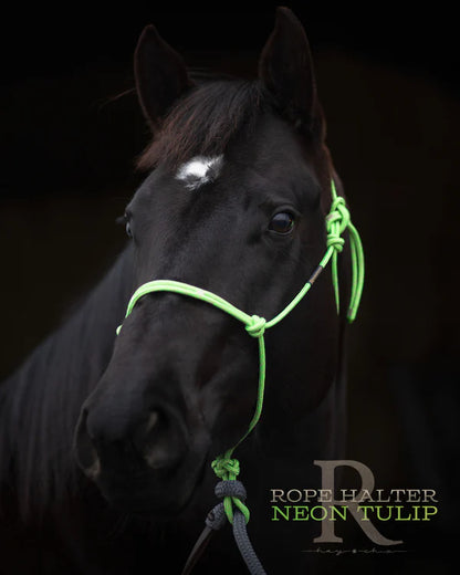 Redemption Rope Halters- Neon Tulip