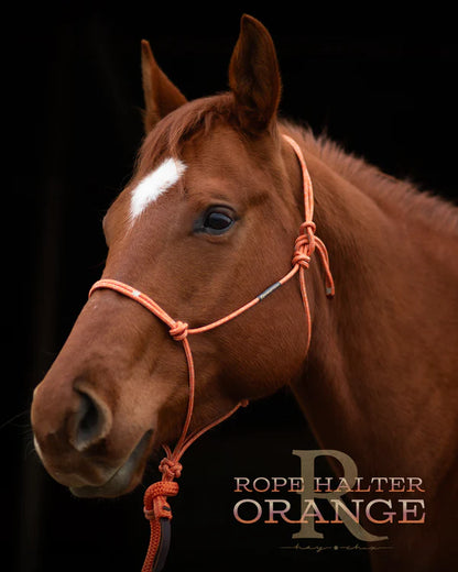 Redemption Rope Halters- Orange