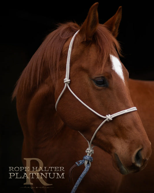 Hay Chix Redemption Rope Halters- S. Platinum