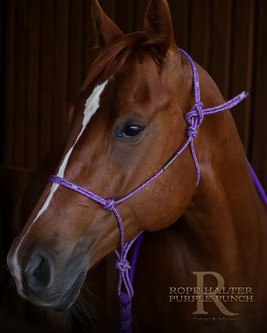 Redemption Rope Halters-   Purple Punch