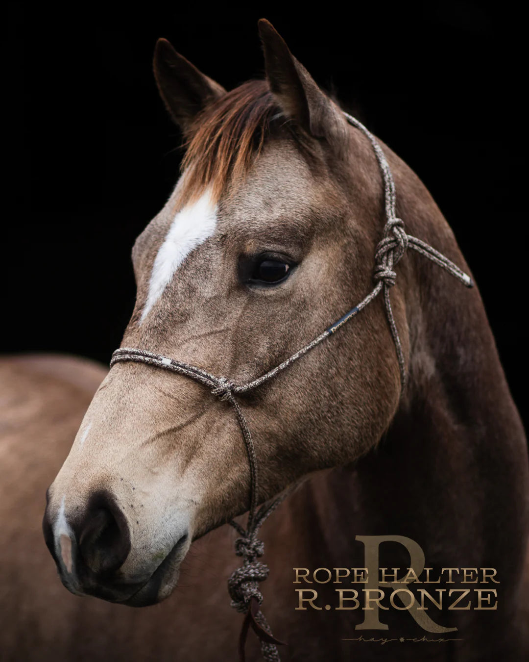 Redemption Rope Halters- Redemption Bronze