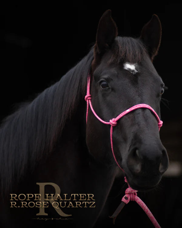 Redemption Rope Halters- Redemption Rose Quartz