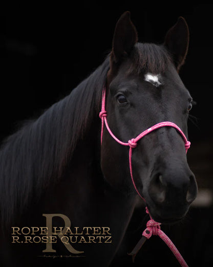 Redemption Rope Halters- Redemption Rose Quartz