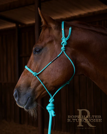 Redemption Rope Halters- Redemption Turquoise