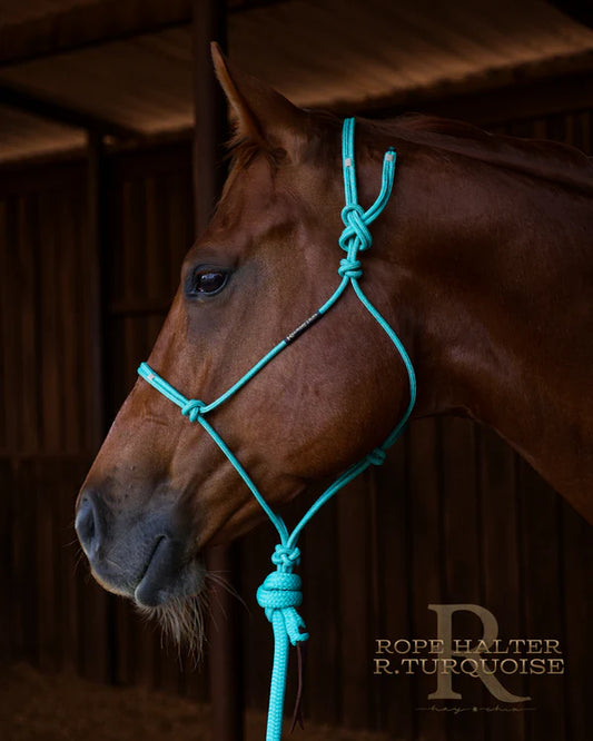 Redemption Rope Halters- Redemption Turquoise