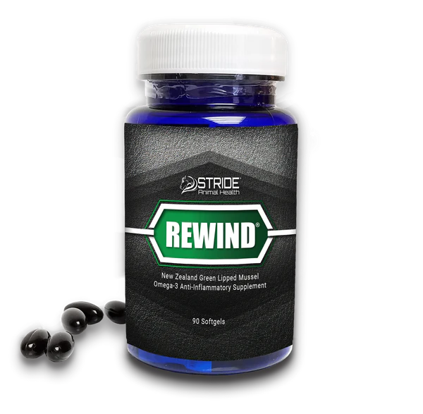 Bluebonnet Rewind - Human & Dogs - gel capsules