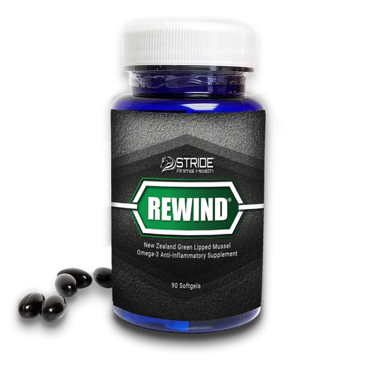 Bluebonnet Rewind - Human & Dogs - gel capsules