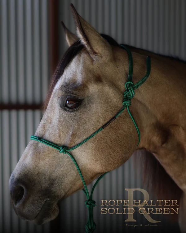 Redemption Rope Halters- Solid Green
