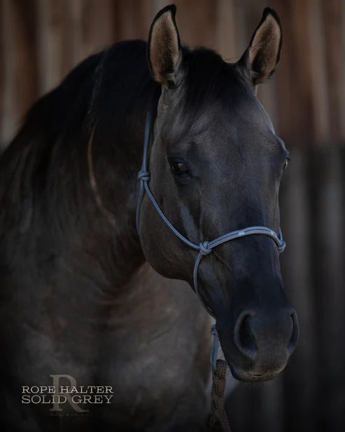Hay Chix Redemption Rope Halters- S. Grey