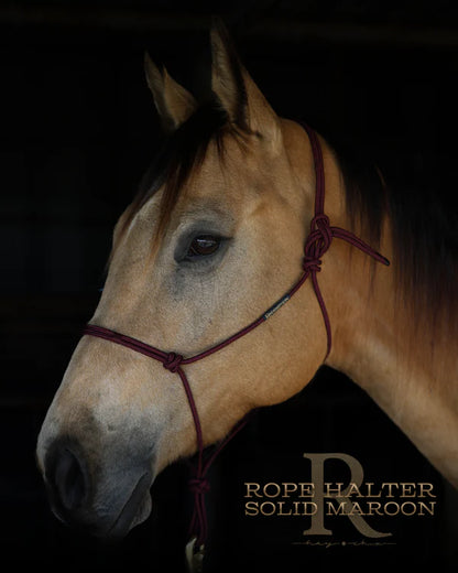Redemption Rope Halters- Solid Maroon