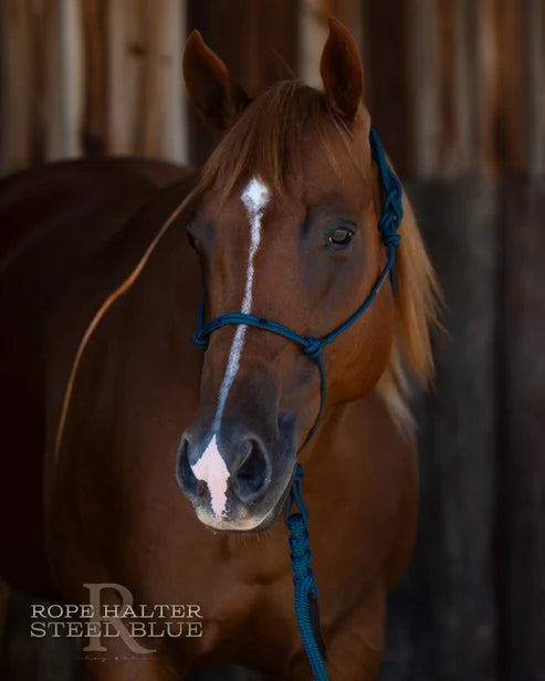 Hay Chix Redemption Rope Halters- S. Steel Blue