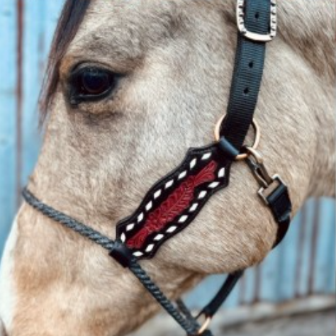 Schulz Equine Lariat Nose Halter - Buck Stitch