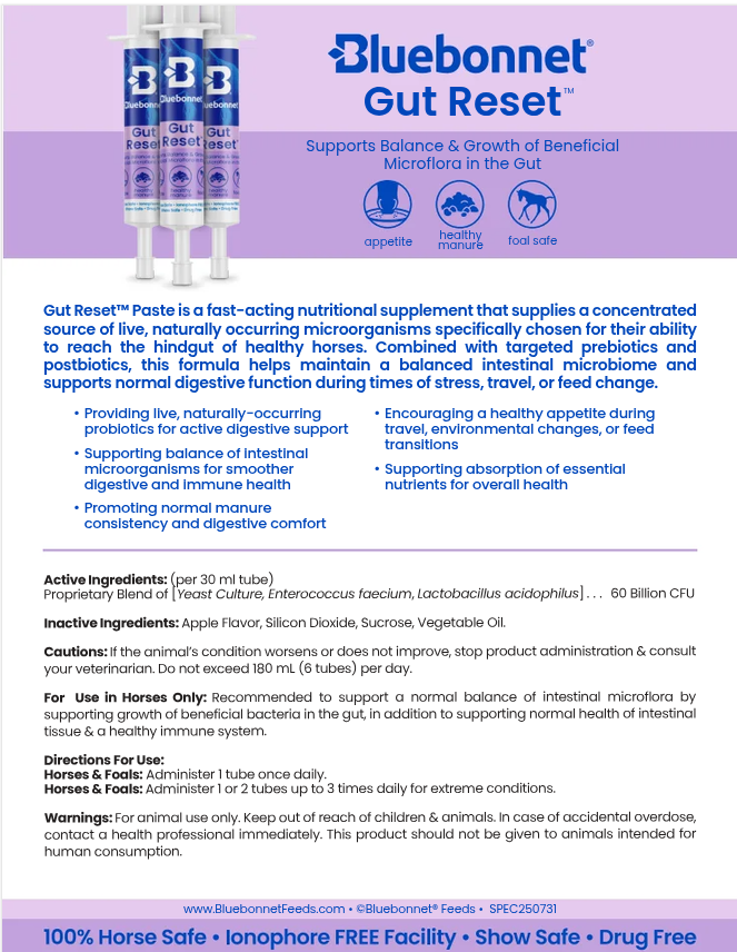 Bluebonnet Gut Reset Paste