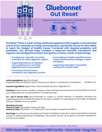Bluebonnet Gut Reset Paste