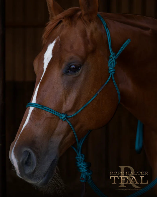 Redemption Rope Halters- Solid Teal