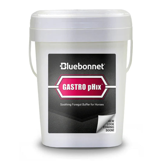 Bluebonnet Gastro pHix