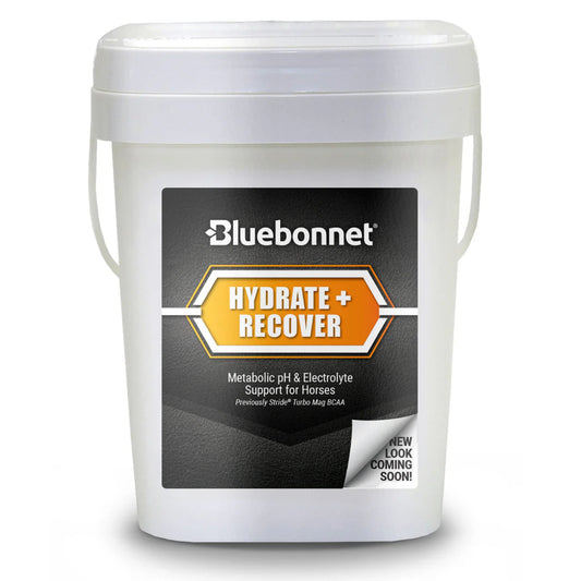 Bluebonnet Hydrate + Recover