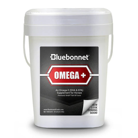 Bluebonnet Omega +