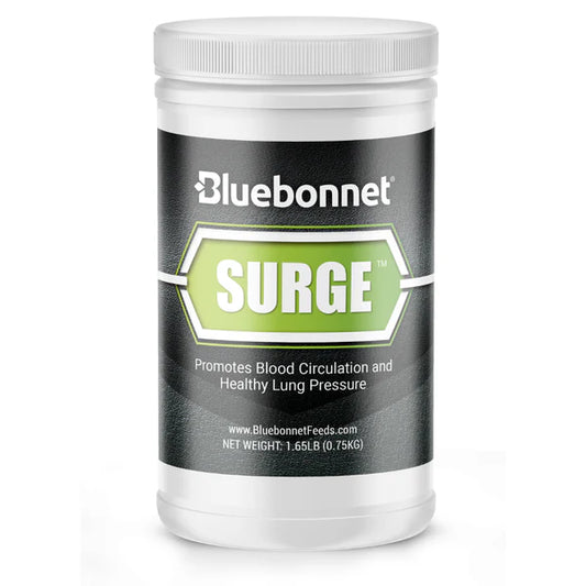 Bluebonnet Surge Powder