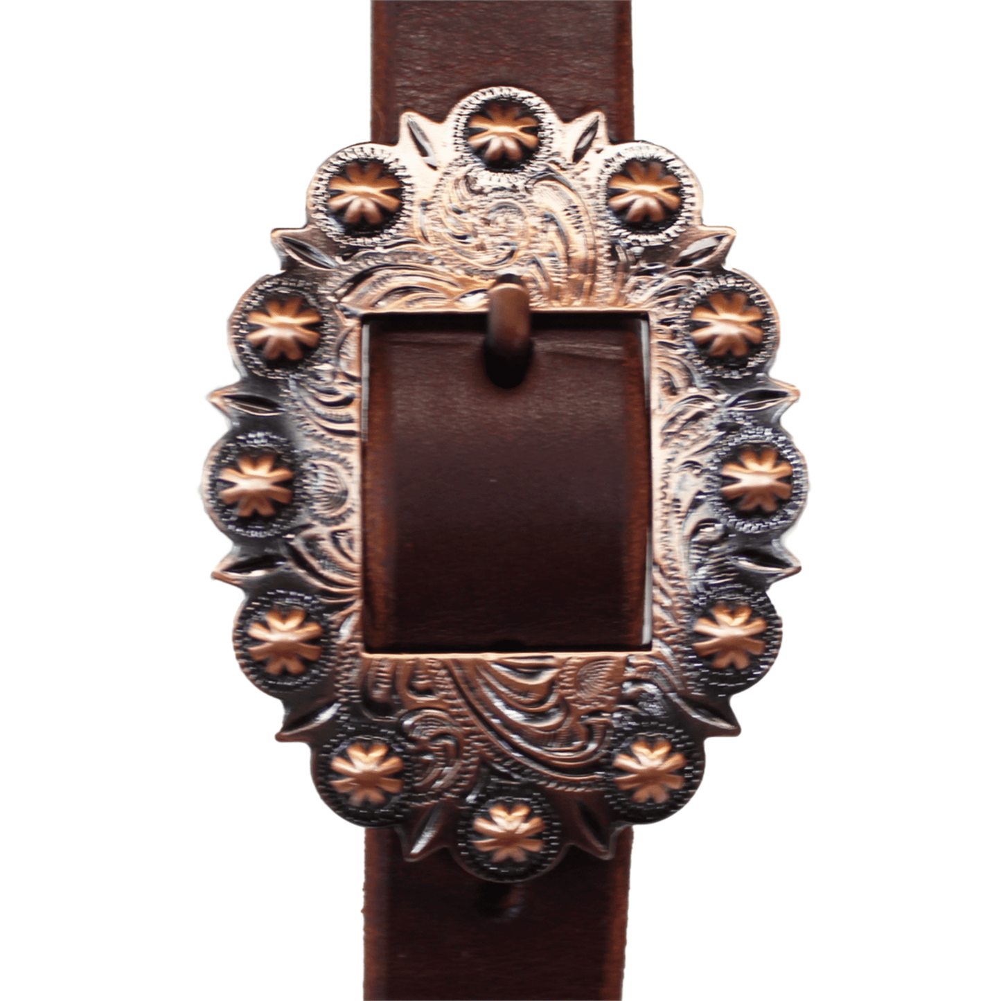 Slit Ear - 1" Harness Leather w/  Oval Copper Rosette Buckle, Dark Oil