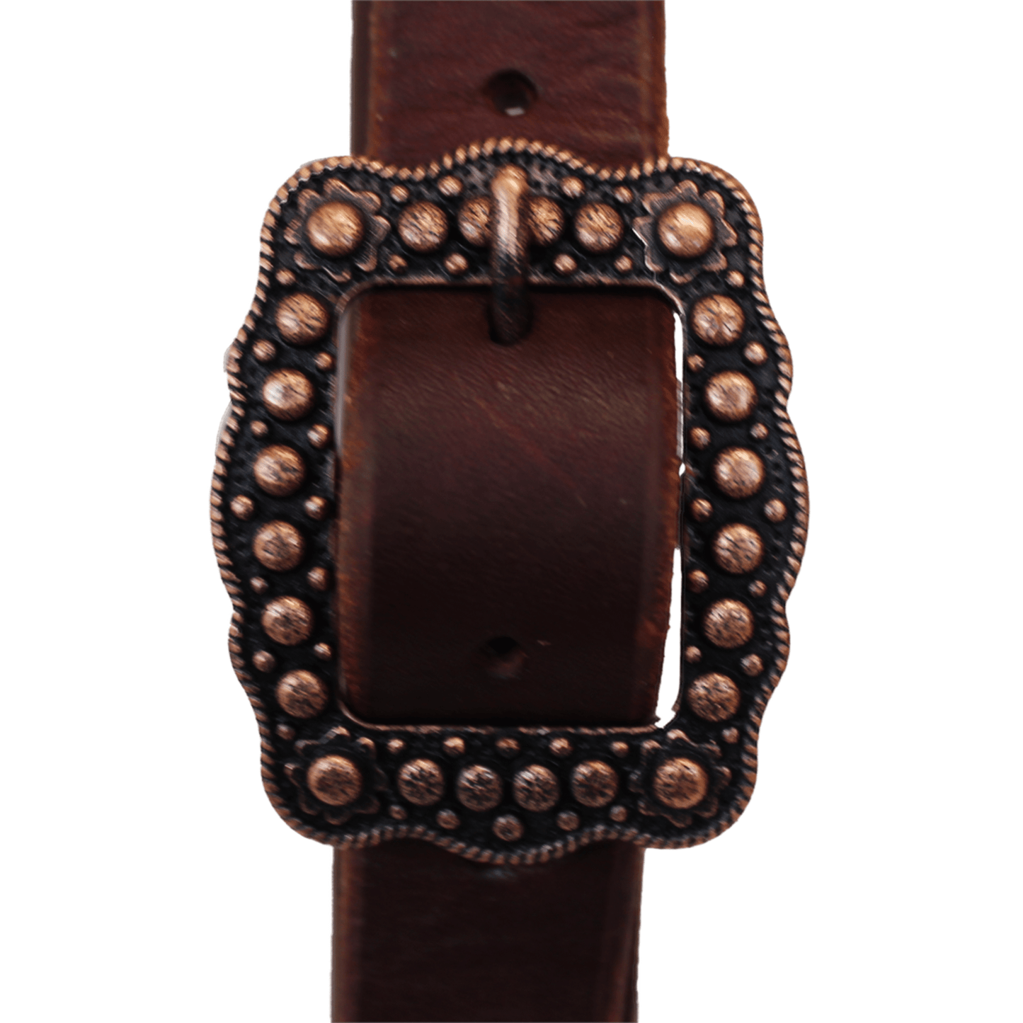 Slit Ear - 1" Harness Leather  w/ Copper Square Rosette Buckle, Dark Oil