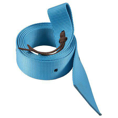 Mustang Manufacturing Nylon Cinch Strap - Solid - turquoise