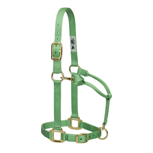 Weaver Original Nylon Adjustable Chin and Throat Snap Halter, 1" - Pistachio Green