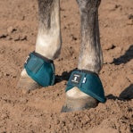 Classic Equine Flexion No-Turn Bell Boot - Dragonfly Green